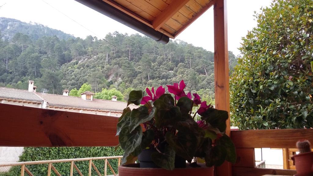 Cabanas De Madera El Rinconcillo Арройо-Фрио Экстерьер фото